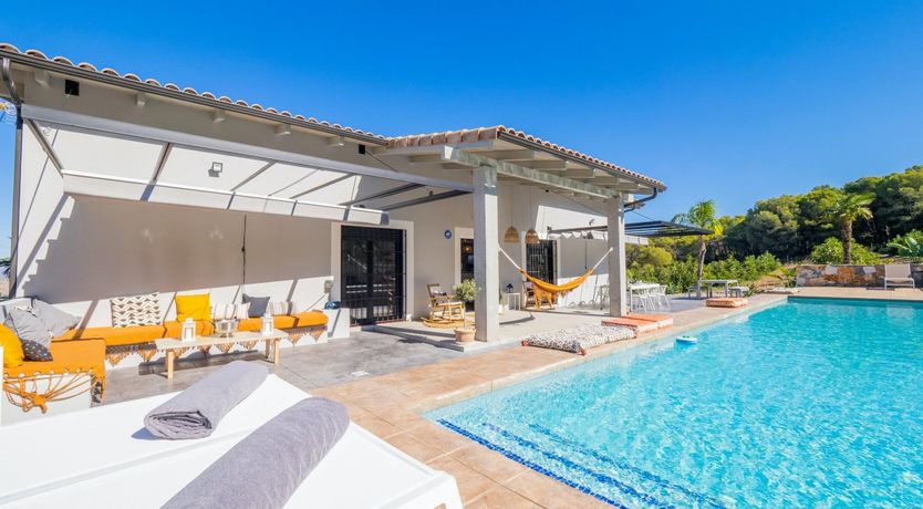 Photo of Moon Over Pines