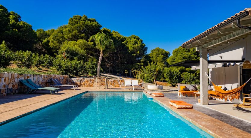 Photo of Moon Over Pines