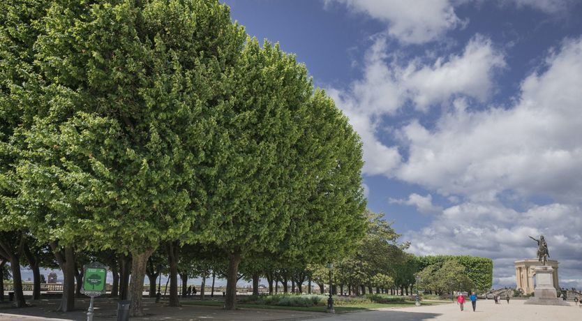 Photo of A Head Full of Dreams