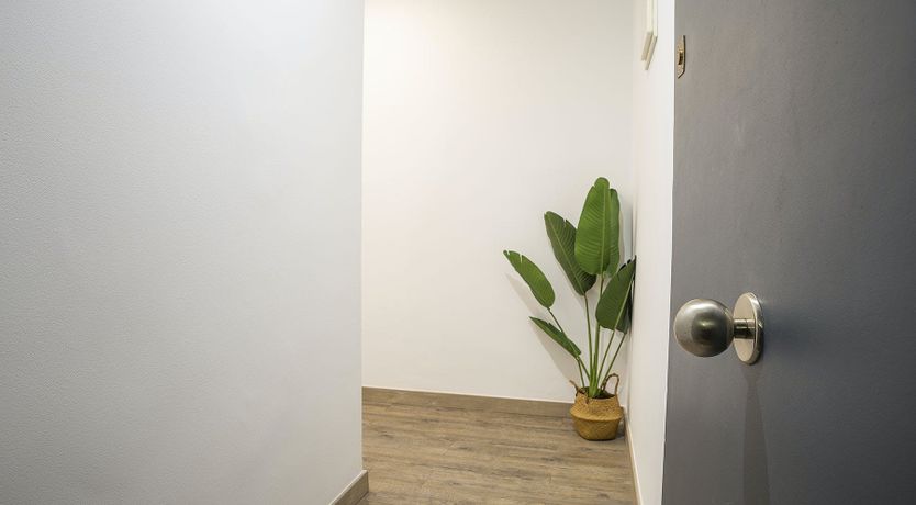 Photo of Ivory Oasis