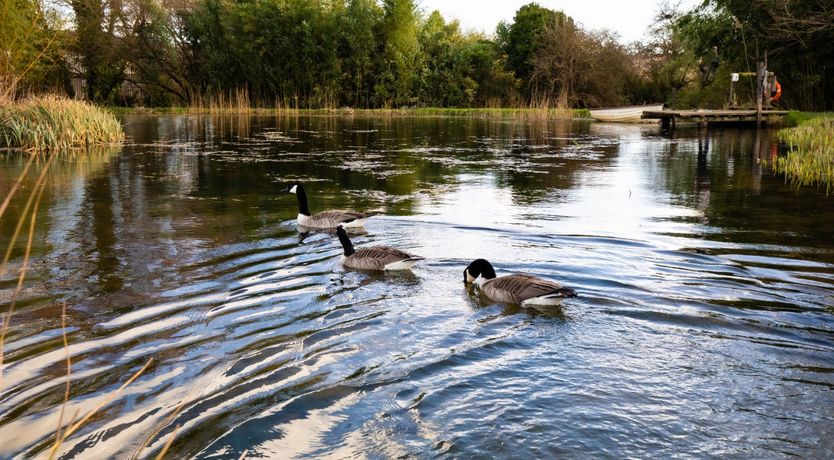 Photo of Eight Maids a Milking