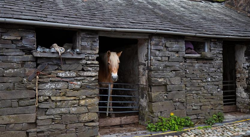 Photo of Jane's Cottage