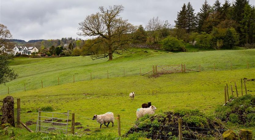 Photo of Jane's Cottage