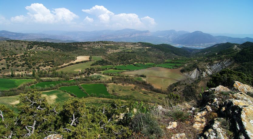 Photo of The Precious Gem