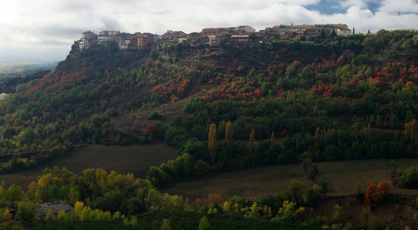 Photo of The Precious Gem