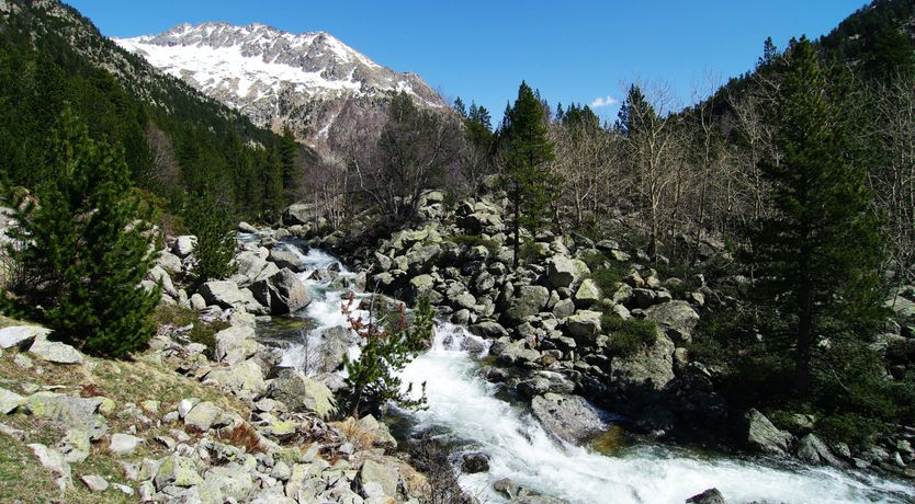 Photo of The Precious Gem