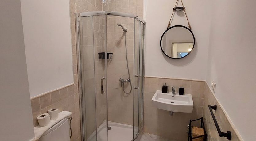 Photo of Seville Olive