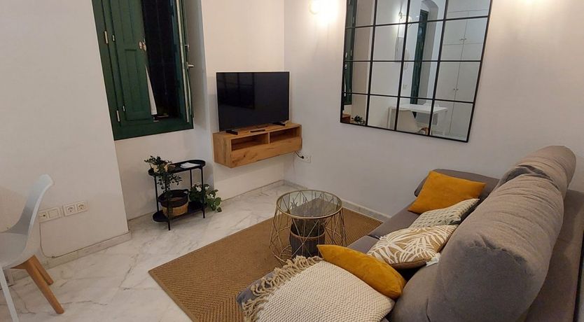 Photo of Seville Olive