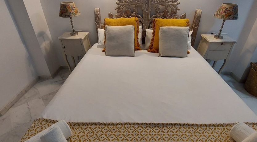 Photo of Seville Olive