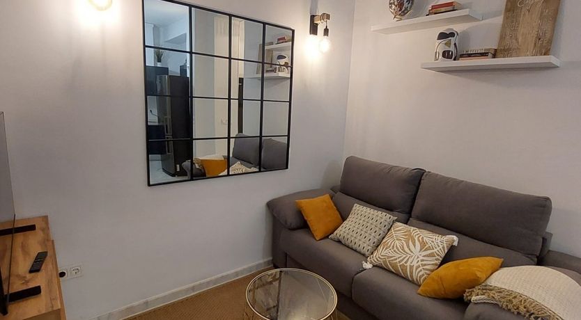 Photo of Seville Olive