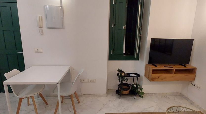 Photo of Seville Olive