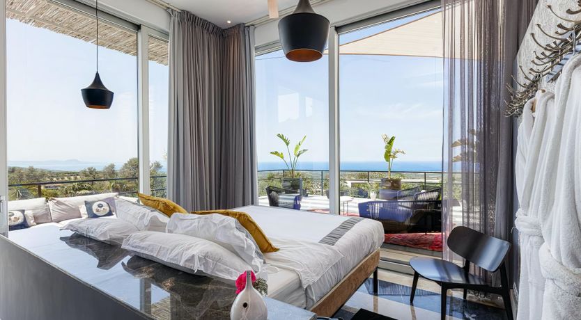 Photo of Rose of Apollo