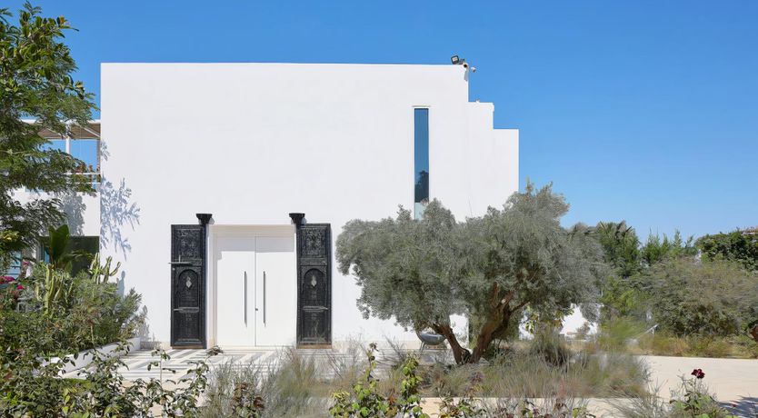 Photo of Rose of Apollo