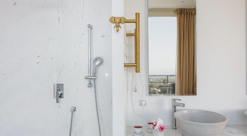 Photo of Rose of Apollo