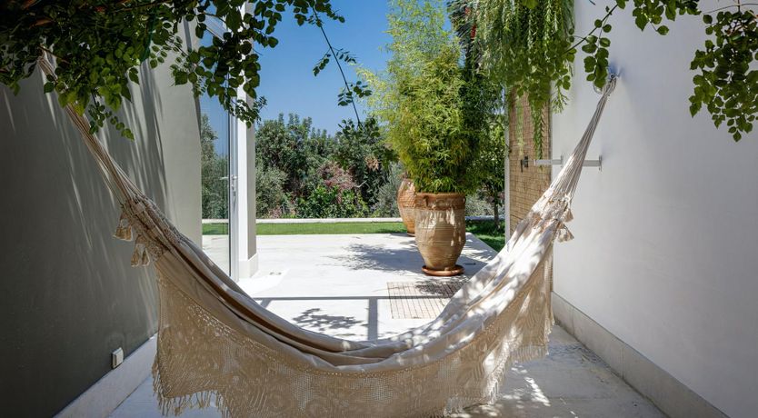 Photo of Rose of Apollo