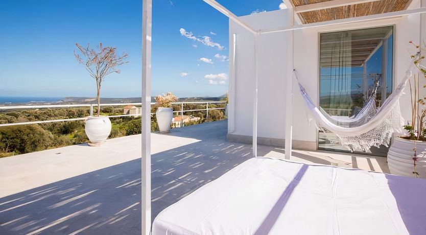 Photo of Rose of Apollo