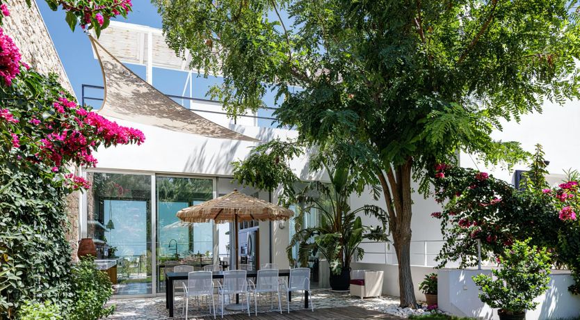 Photo of Rose of Apollo