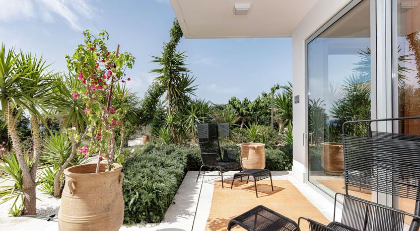 Photo of Rose of Apollo