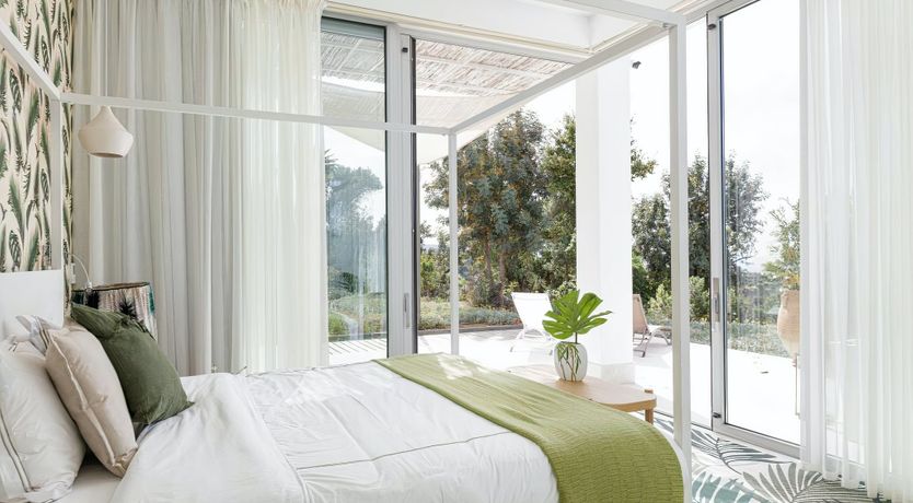 Photo of Rose of Apollo