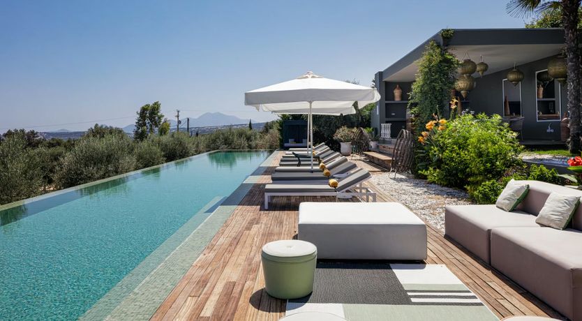 Photo of Rose of Apollo