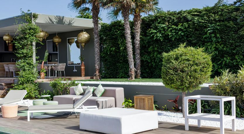 Photo of Rose of Apollo