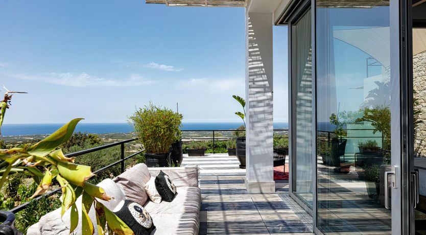 Photo of Rose of Apollo