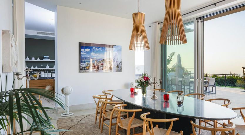 Photo of Rose of Apollo