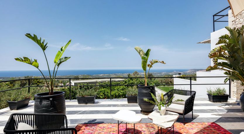 Photo of Rose of Apollo