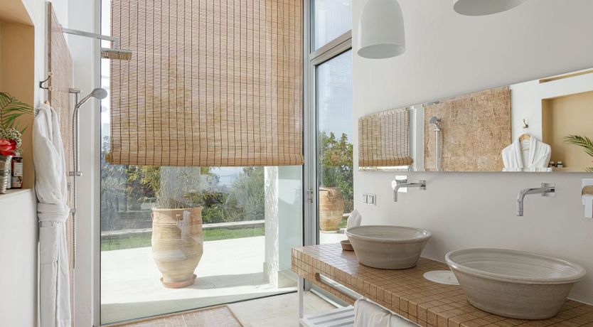 Photo of Rose of Apollo