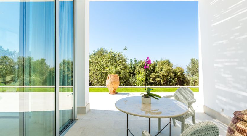 Photo of Rose of Apollo