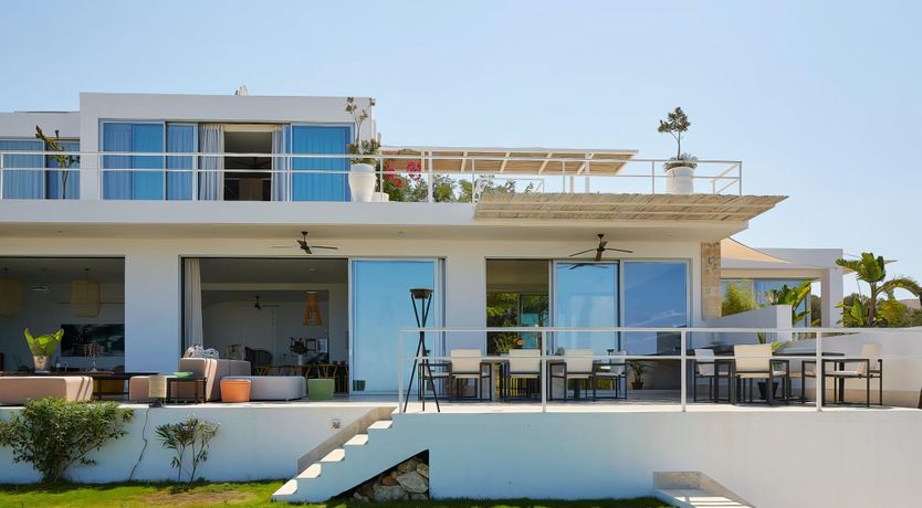 Photo of Rose of Apollo