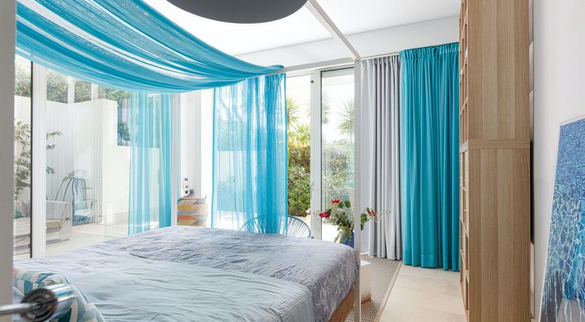 Photo of Rose of Apollo