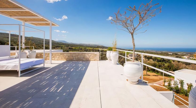 Photo of Rose of Apollo