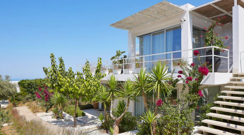 Photo of Rose of Apollo