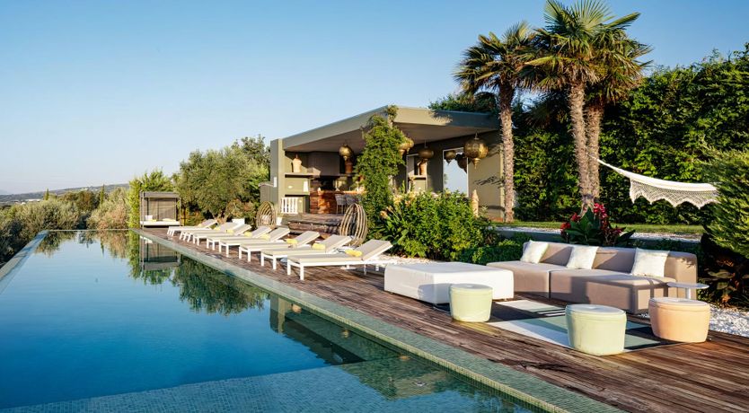 Photo of Rose of Apollo