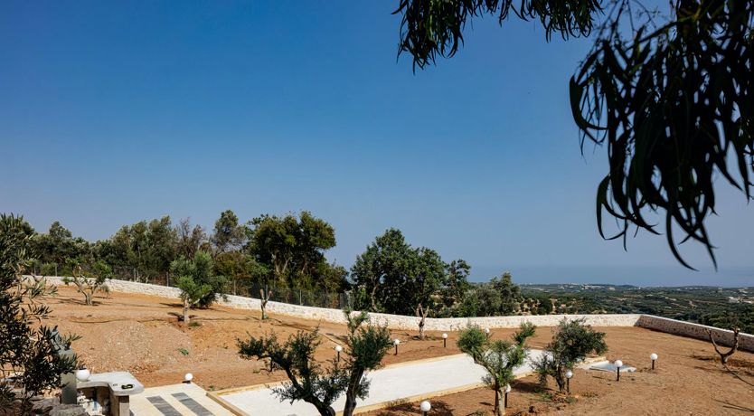 Photo of Rose of Apollo