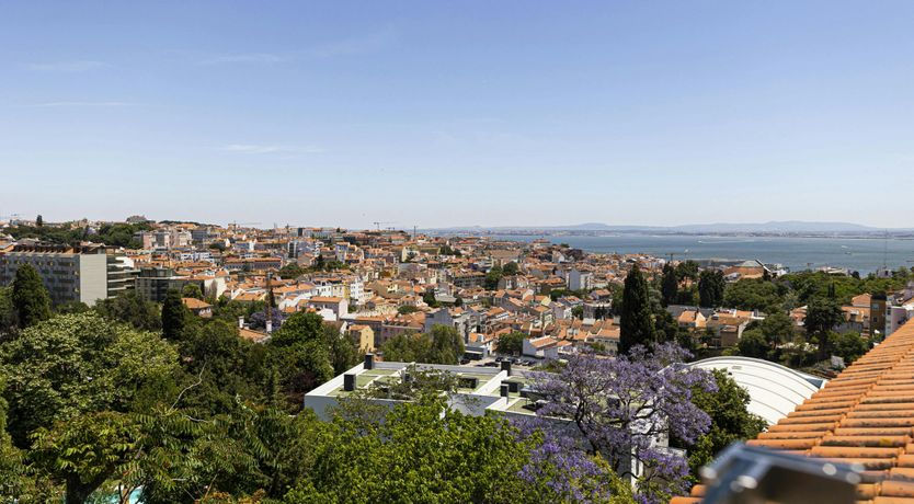 Photo of Orange Glow