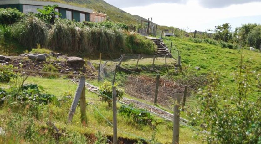 Photo of Cosy wheatfield