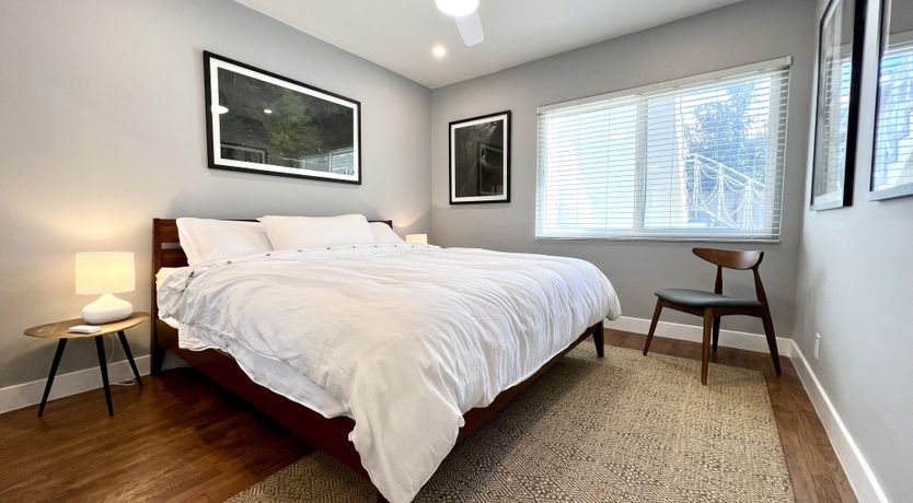 Photo of The White Noise