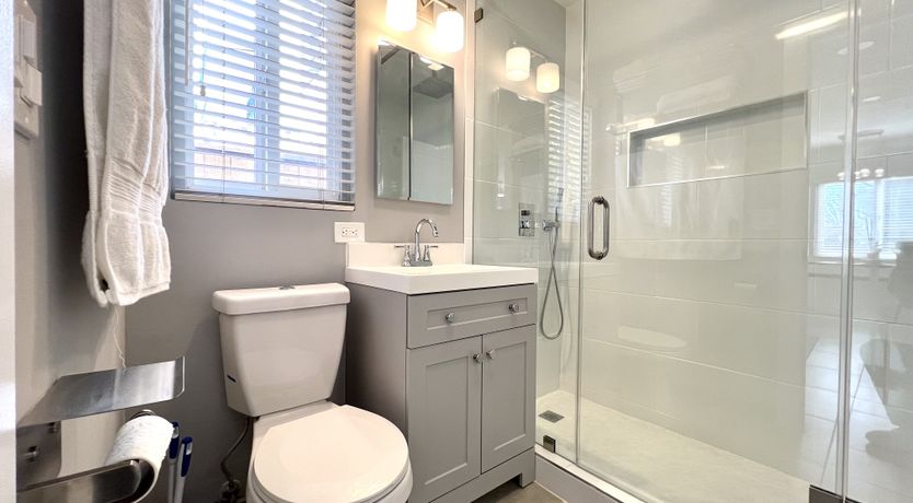 Photo of The White Noise