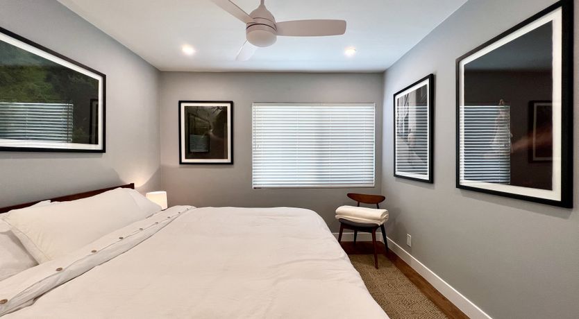 Photo of The White Noise