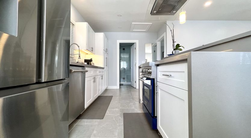 Photo of The White Noise