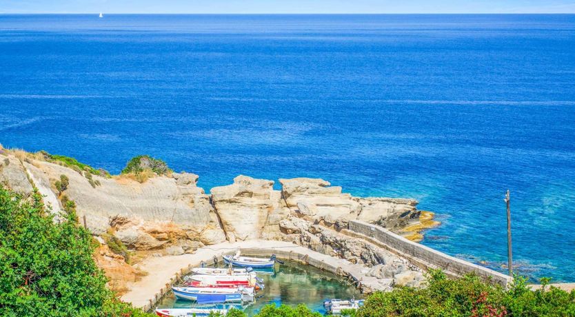 Photo of The Blue Diadem