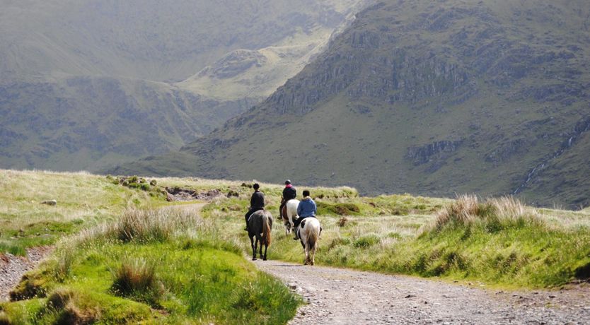 Photo of Dingle Farmhouse Rental