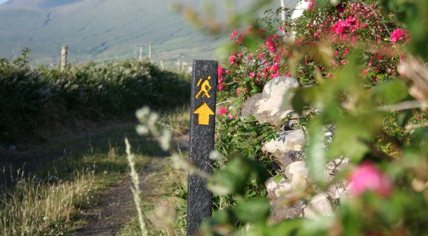 Photo of Dingle Farmhouse Rental