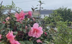 Photo of Dingle Farmhouse Rental