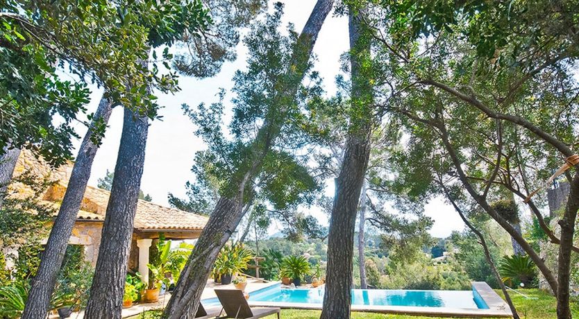 Photo of Eyes Towards Paradise