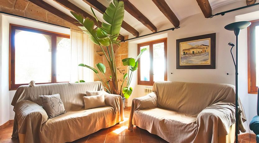 Photo of Eyes Towards Paradise