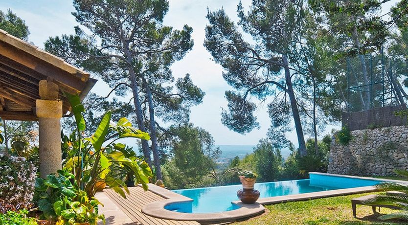 Photo of Eyes Towards Paradise