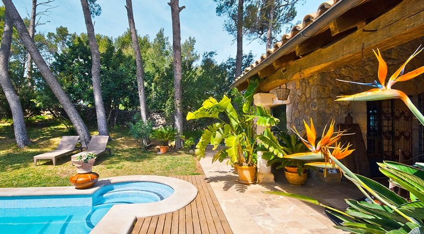 Photo of Eyes Towards Paradise